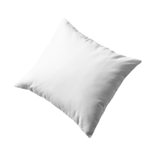 Customized Pillow